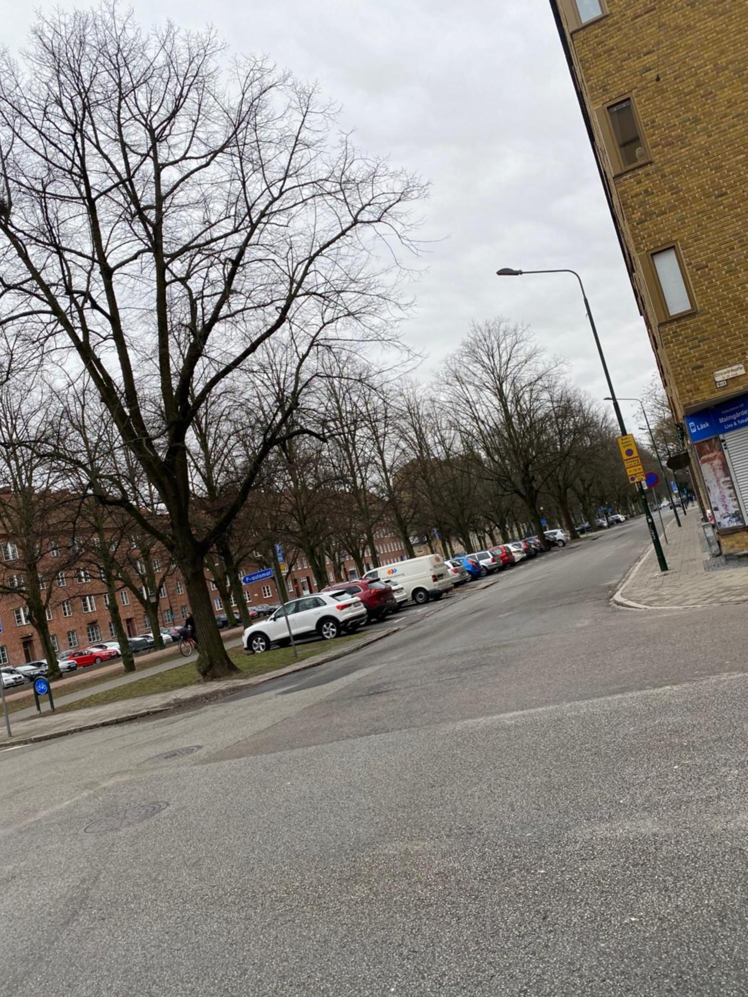 Comfort Appartment In Vaernhem, Malmoe Eksteriør bilde